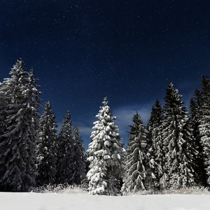七色猫登录入口
