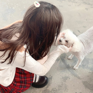 七色猫登录入口
