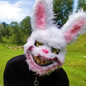 七色猫登录入口
