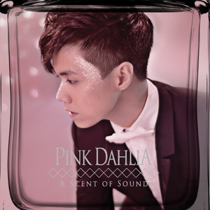 七色猫登录入口
