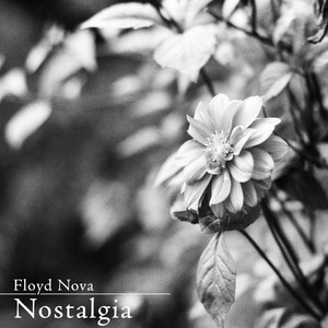 七色猫登录入口
